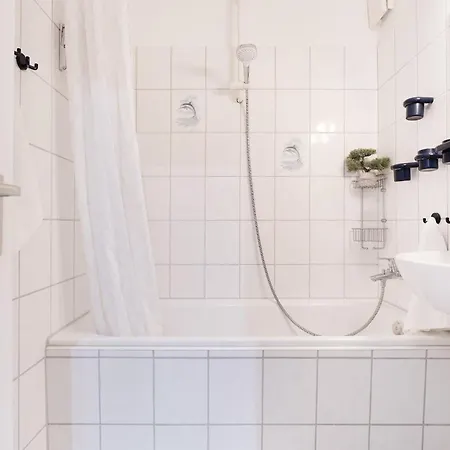 Stranddistel 2 Strandvergnuegen Burgtiefe auf Fehmarn