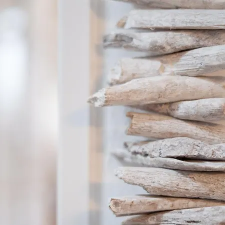 Stranddistel 2 Strandvergnuegen