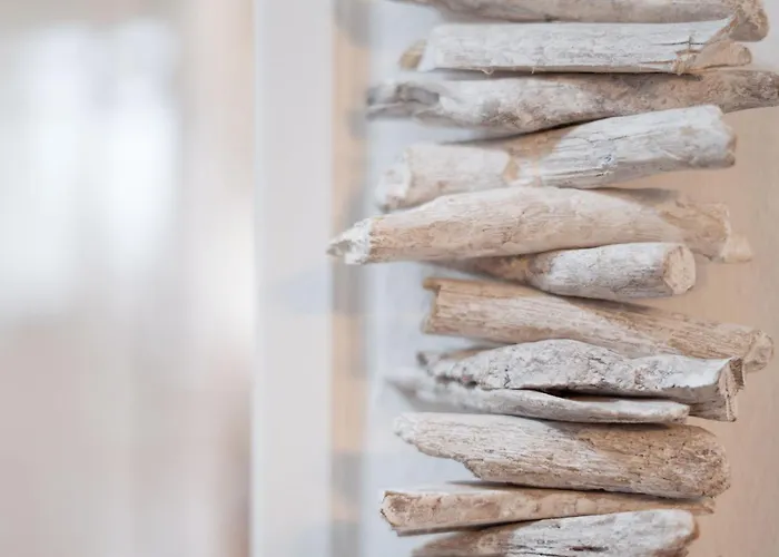 Stranddistel 2 Strandvergnuegen